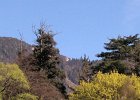 promenade  (2)